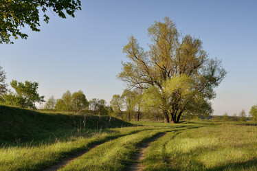 Similar image 1431613