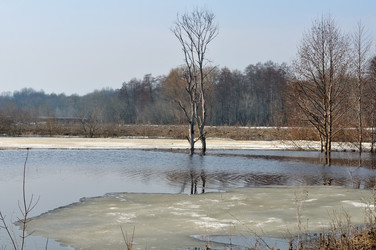 Similar image 1431615