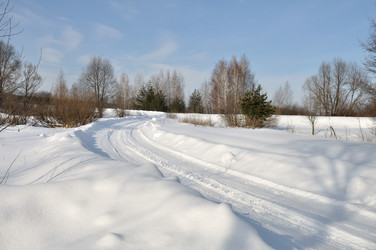 Similar image 1431619