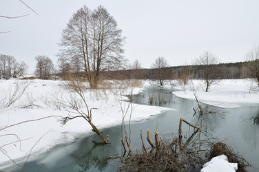 Similar image 1431620