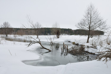 Similar image 1431621