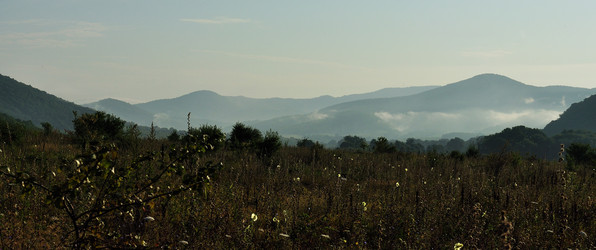 Similar image 1431636