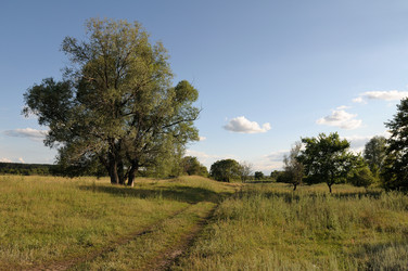 Similar image 1431641