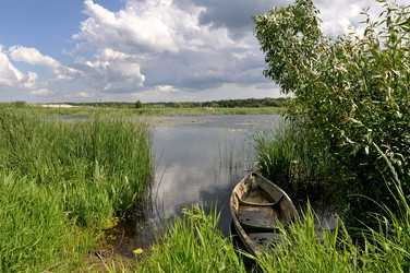 Similar image 1431643