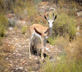 Similar image 1431763