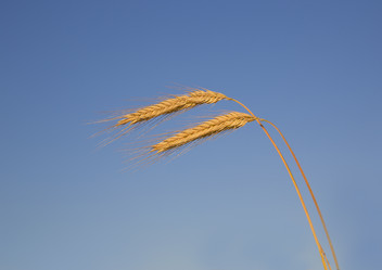 Similar image 1431791