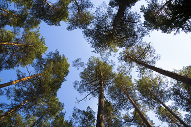 Similar image 1431794