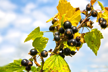 Similar image 1431796