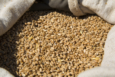 Similar image 1431805