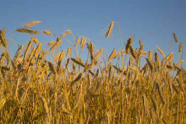 Similar image 1431843