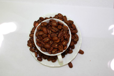 Similar image 1431880