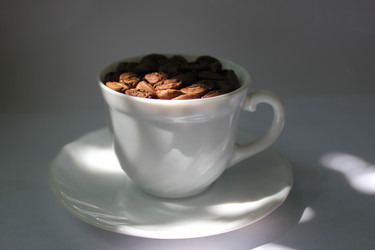 Similar image 1431881