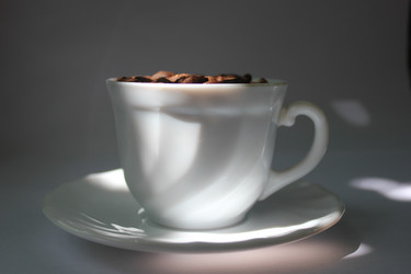 Similar image 1431883