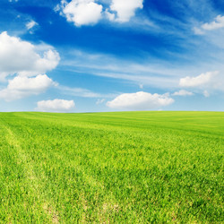 Similar image 1431911