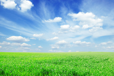 Similar image 1431921