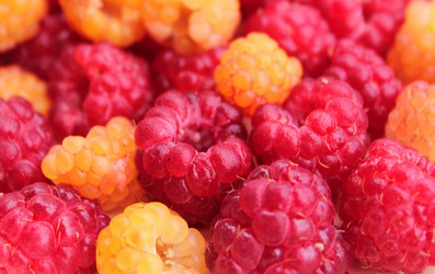 Similar image 1431927