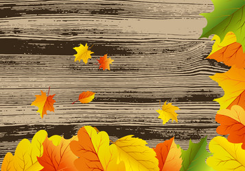 Similar image 1431976