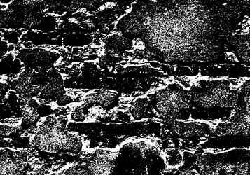 Similar image 1432001