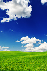 Similar image 1432012