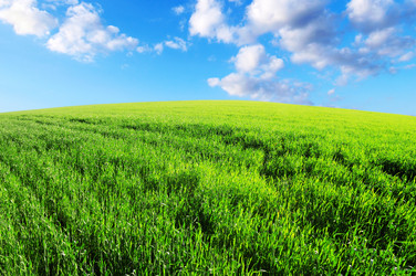 Similar image 1432018