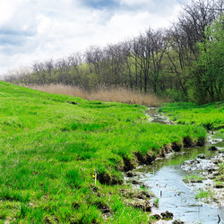 Similar image 1432028