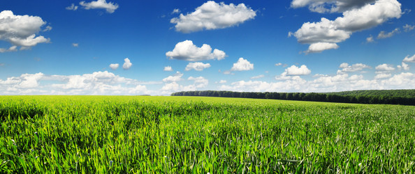 Similar image 1432029