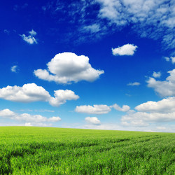 Similar image 1432035