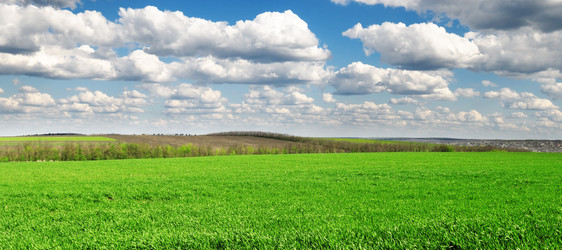 Similar image 1432036