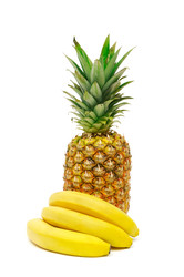 Similar image 1432040