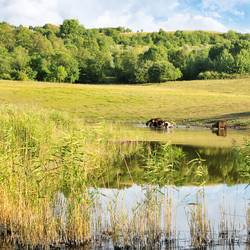 Similar image 1432041