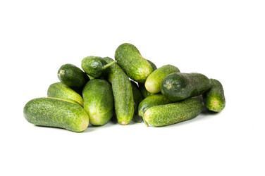 Similar image 1432045