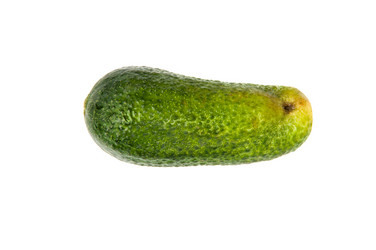 Similar image 1432047