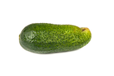 Similar image 1432055