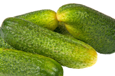 Similar image 1432056