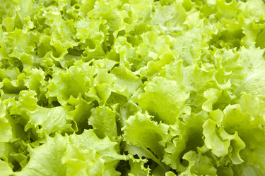 Similar image 1432179