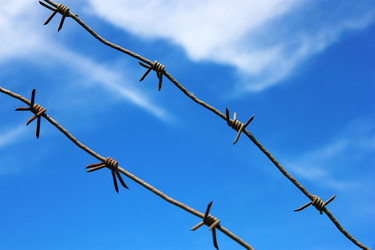 Similar image 1432303