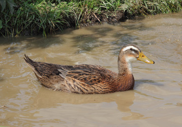 Similar image 1432311