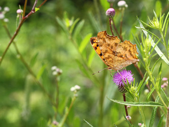 Similar image 1432338