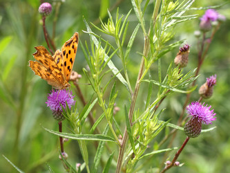 Similar image 1432342