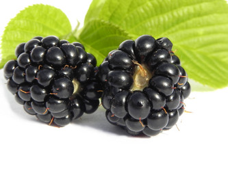 Similar image 1432471