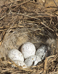 Similar image 1432476