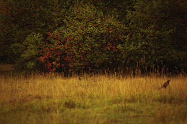 Similar image 1432488