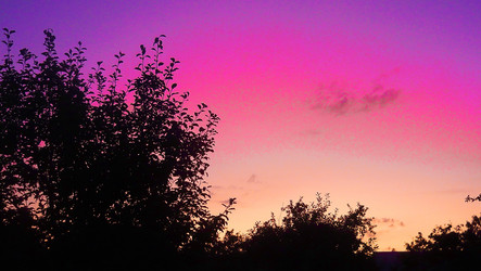 Similar image 1432498