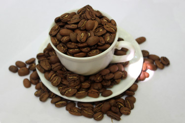 Similar image 1432500