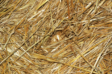 Similar image 1432501