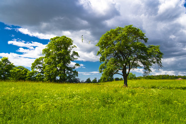 Similar image 1432503