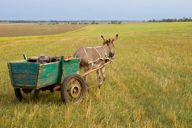 Similar image 1432510