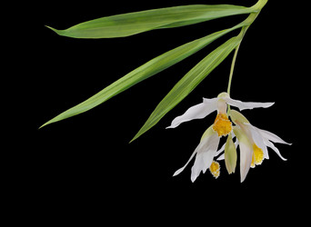 Similar image 1432520