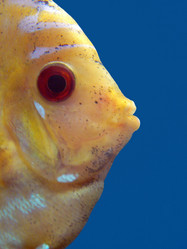 Similar image 1432522