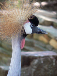 Similar image 1432523